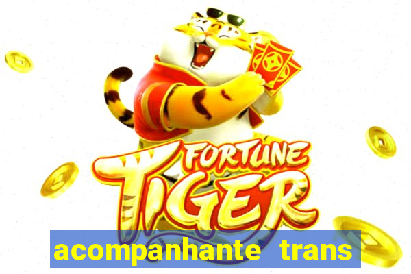 acompanhante trans baixada fluminense